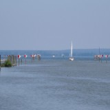 1505F 062 Alter Rhein in Bodensee